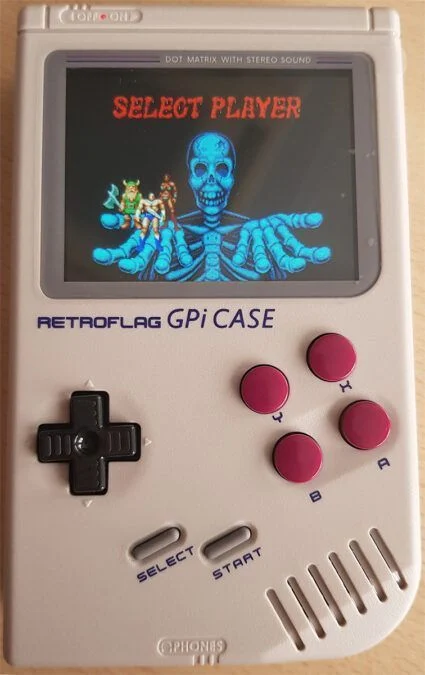 golden axe gpi case