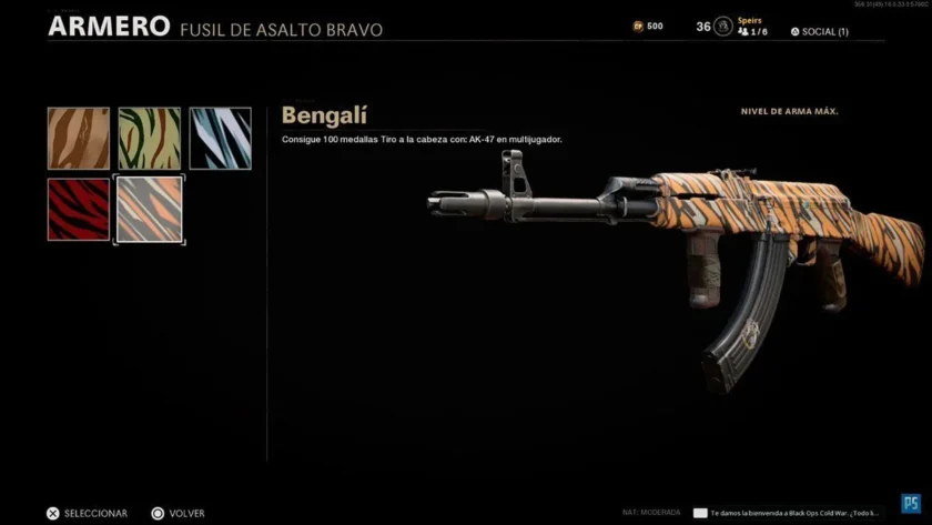 camuflaje rayas